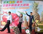 屏东凤梨莲雾坐飞机 空运外销加拿大