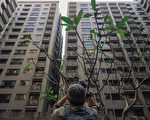 推房地合一2.0 业界、学界看法不同