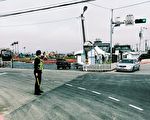 桃园彩色海芋季27登场  警方实施交通管制