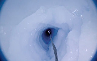 南极冰架900米深处 惊现海绵状神秘物种