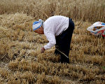 中共拟推农户承包地退出机制 民间忧虑重重