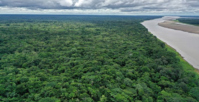 受困亚马逊丛林31天 30岁男子奇迹生还