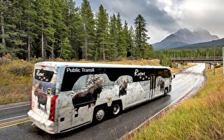 今夏加拿大公园开通露易斯湖班车