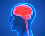 增強記憶力很簡單 9招健腦 防大腦老化