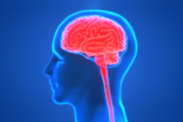 怎樣益智健腦，增強記憶力？(Shutterstock)