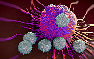 研究：普通感冒产生的T细胞可防COVID-19