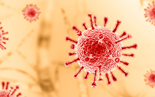 持续更新：亚省“中共病毒”疫情一览（五）