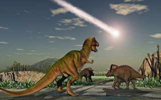 昆州内陆正成为世界恐龙之都 媲美艾尔斯岩