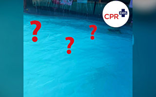 警告：泳装颜色的危险 泳池中很难发现孩子
