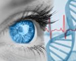 研究：决定眼睛颜色的基因不简单