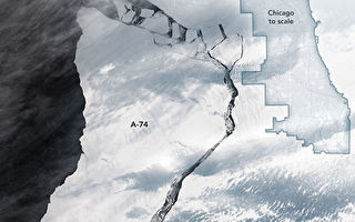 南极巨大冰山脱落 显露隐藏近半世纪海洋生物