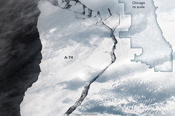 南極巨大冰山脫落 顯露隱藏近半世紀海洋生物
