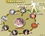 清明扫墓有防护  健康无“恙”没烦恼