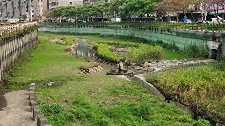 河道兩側及堤壁種植炮仗花、馬櫻丹、薜荔等相關蔓藤類植栽。