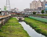 鸭母港沟生态植栽 渠底生态休闲的好去处