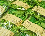 有机农产品进军林口三井 打造黄金品牌