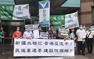台灣國：民主同盟成型 兩岸不該「建設性模糊」