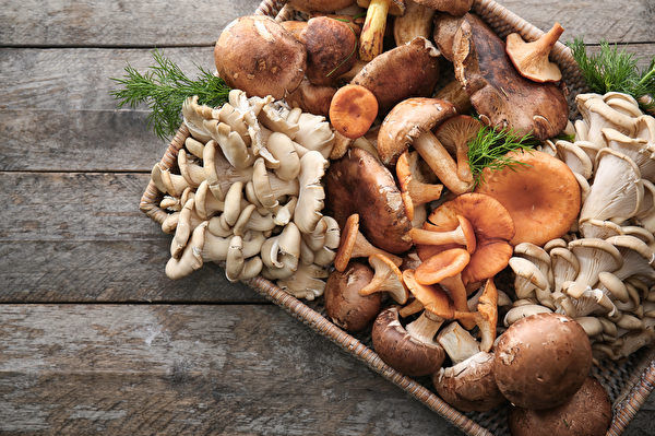 研究：蘑菇有效補充微量元素又不致發胖
