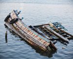 眼見沉船上有4隻貓 泰國海軍士兵跳海相救