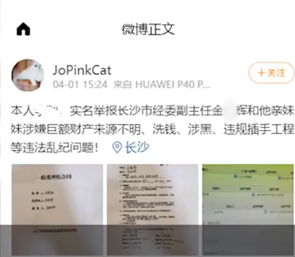 4月1日,网民“jopinkCat”在微博实名爆料称,湖南省长沙市经委副主任金某辉和其妹妹涉嫌巨额财产来源不明等问题。(网络截图)
