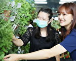 嘉大植研周有看头  置身香草丛林体验咖啡香