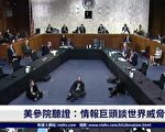 【重播】美参院听证：情报巨头谈世界威胁