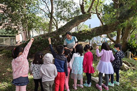 大溪木艺生态博物馆提供民众多元学习资源，成为环境教育学习的新热点。