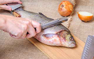新研究：吃1條淡水魚 等於喝1個月有毒污水