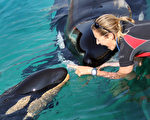美国旅游运营商收购温哥华水族馆