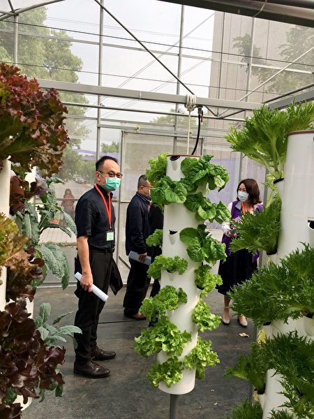 中区县市医师公会干部参观草疗垂直水耕生菜设施。