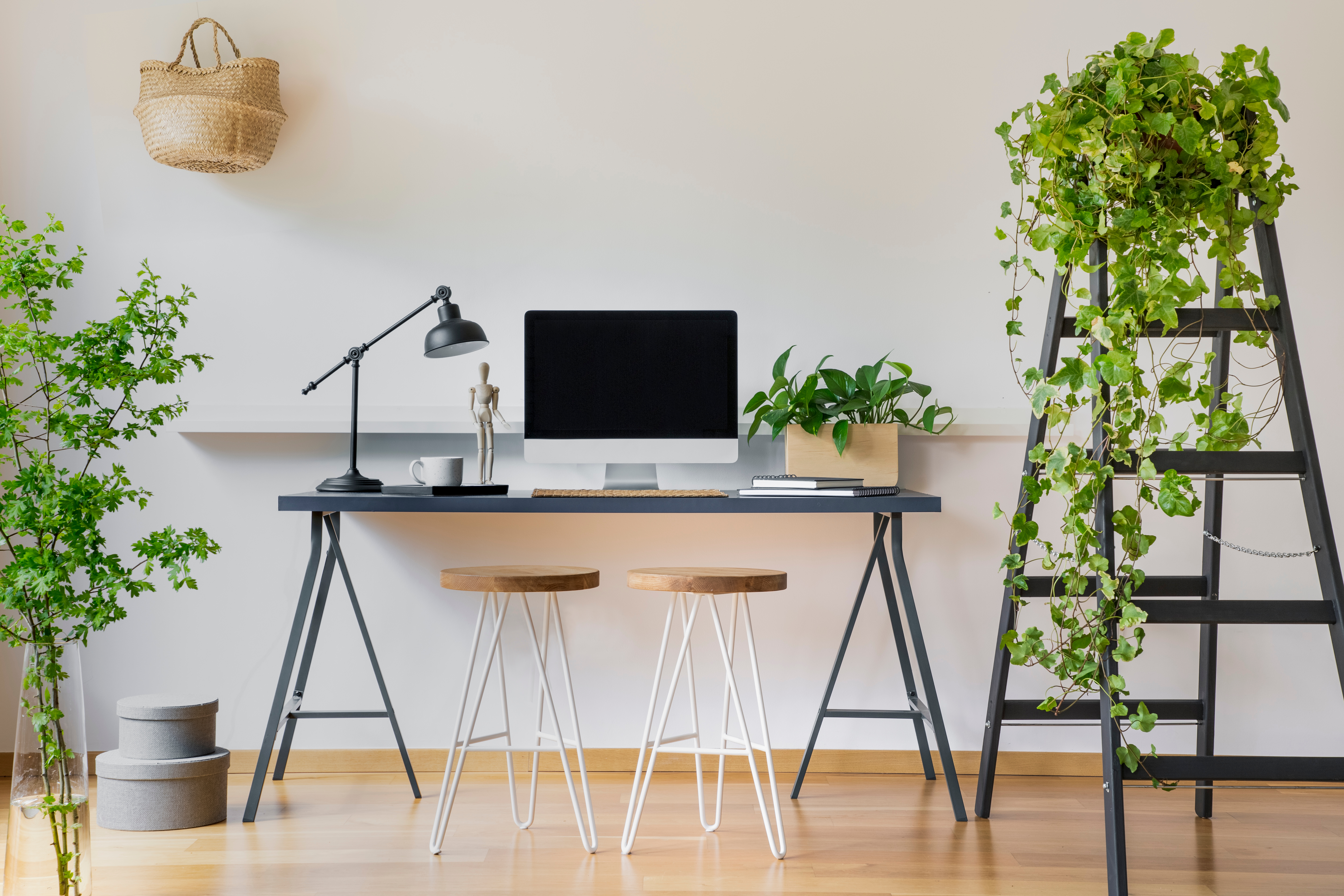 办公时接触大自然的色彩,心情更稳定。(Shutterstock)