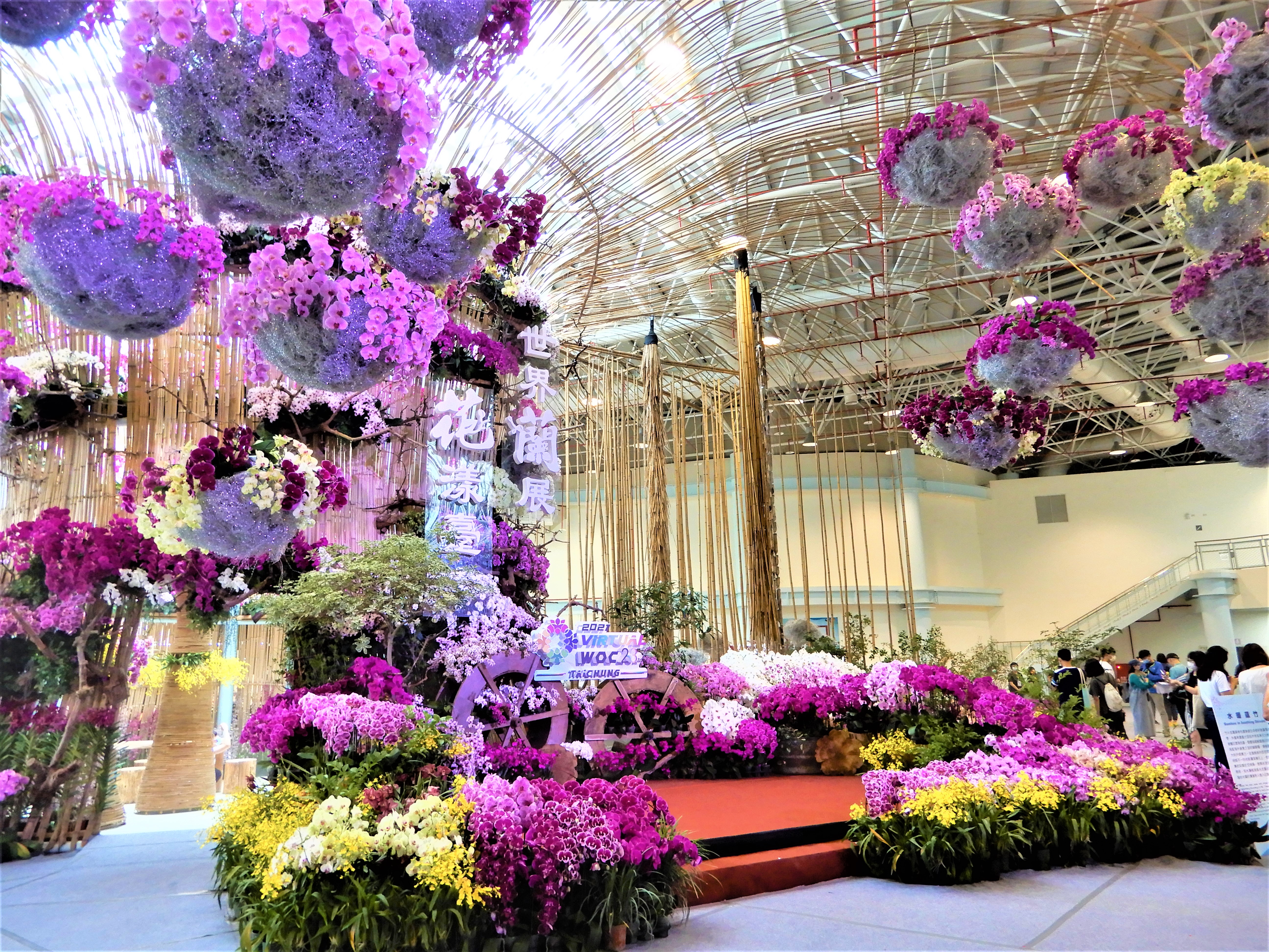 23届世界兰展台中举办百花争艳首采线上竞逐| 数位| 世界兰花展| 大纪元