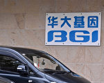 华大基因再现样本污染