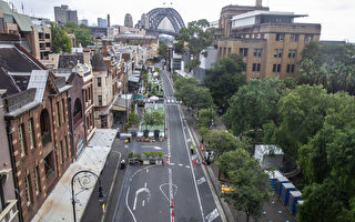 悉尼市议会拟将四条干道改建成林荫大道