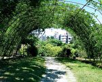塭仔底湿地生态公园 树荫浓密绿意盎然