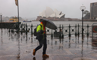 悉尼周日将迎来强降雨