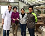 台湾狐蝠濒临灭绝 全台仅剩二百多只