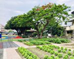 彰化縣再度榮獲建築園冶獎 績效出色
