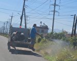 全国首例本土日本脑炎病例屏东县现迹