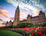 加拿大举办视频晚会 庆祝世界法轮大法日