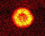 科學家造出第一個玻色-愛因斯坦凝聚態分子雲