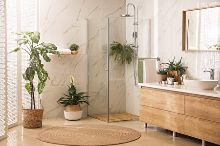 这些植物养在浴室活得更好还能去湿除臭 浴室植物 去湿气 美化浴室 大纪元