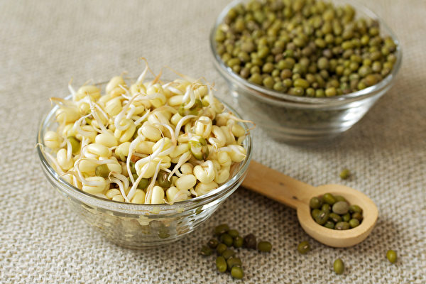 绿豆能长久储存，可发成豆芽、煮成可退烧的绿豆水，是居家必备防疫食物。(Shutterstock)
