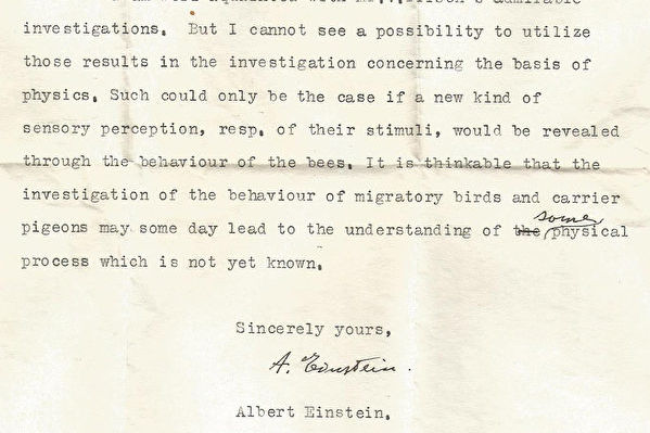信件显示爱因斯坦对生物学也有前瞻远见