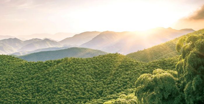 【涛哥侃封神】第五十六回 子牙设计收九公 | 石涛 | 封神演义 | 姜子牙 - Vimarsana News