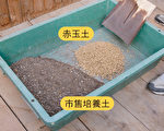 调配果树盆栽专用的培养土  4步骤一学就会
