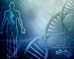 史上首例：哈佛科学家拍卖自己的DNA