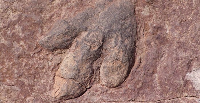 上千个恐龙足迹现踪蒙古戈壁沙漠 实属罕见