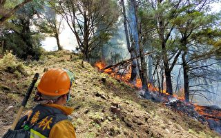 玉山森林大火延燒12天 台林務局：鉅額成本將求償