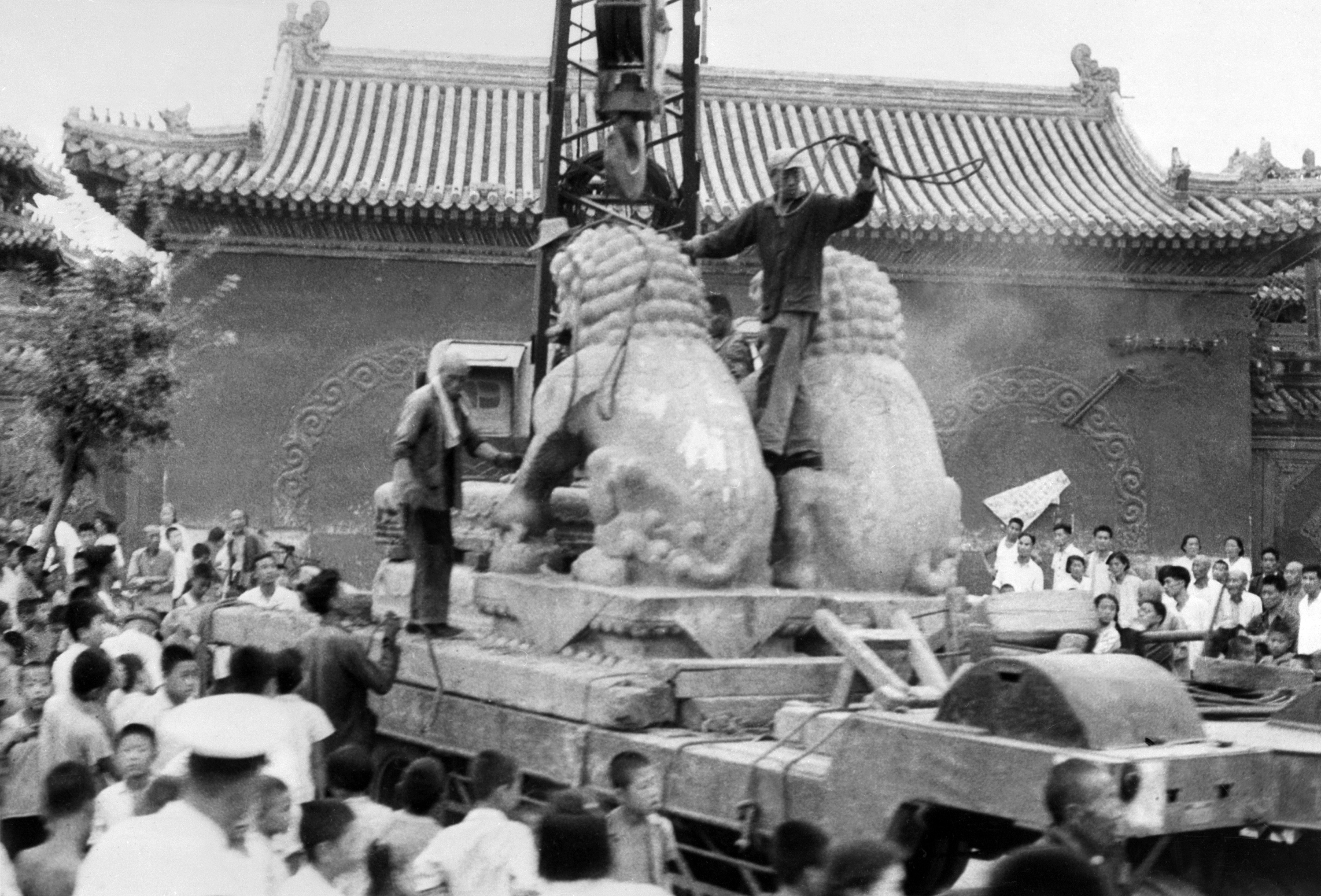 共產黨的目的是摧毀人類的文化和道德。圖為1966年8月25日文化大革命期間，紅衛兵拆走北京一寺廟的石獅子。(AFP)
